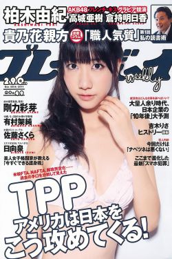msn中文网首页