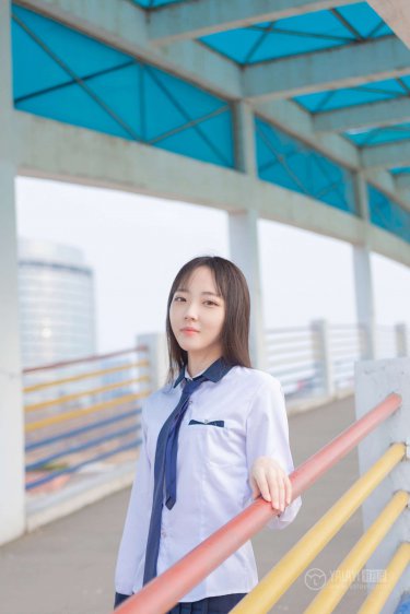 玫瑰的故事
