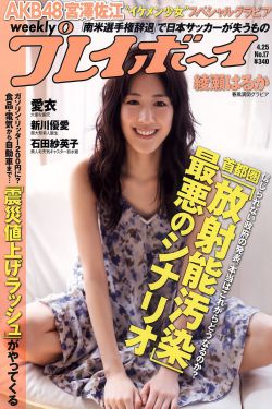 兰花草为什么是禁歌